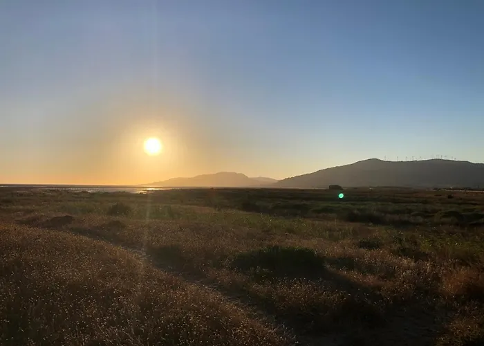 Tarifa Sol Y Sal